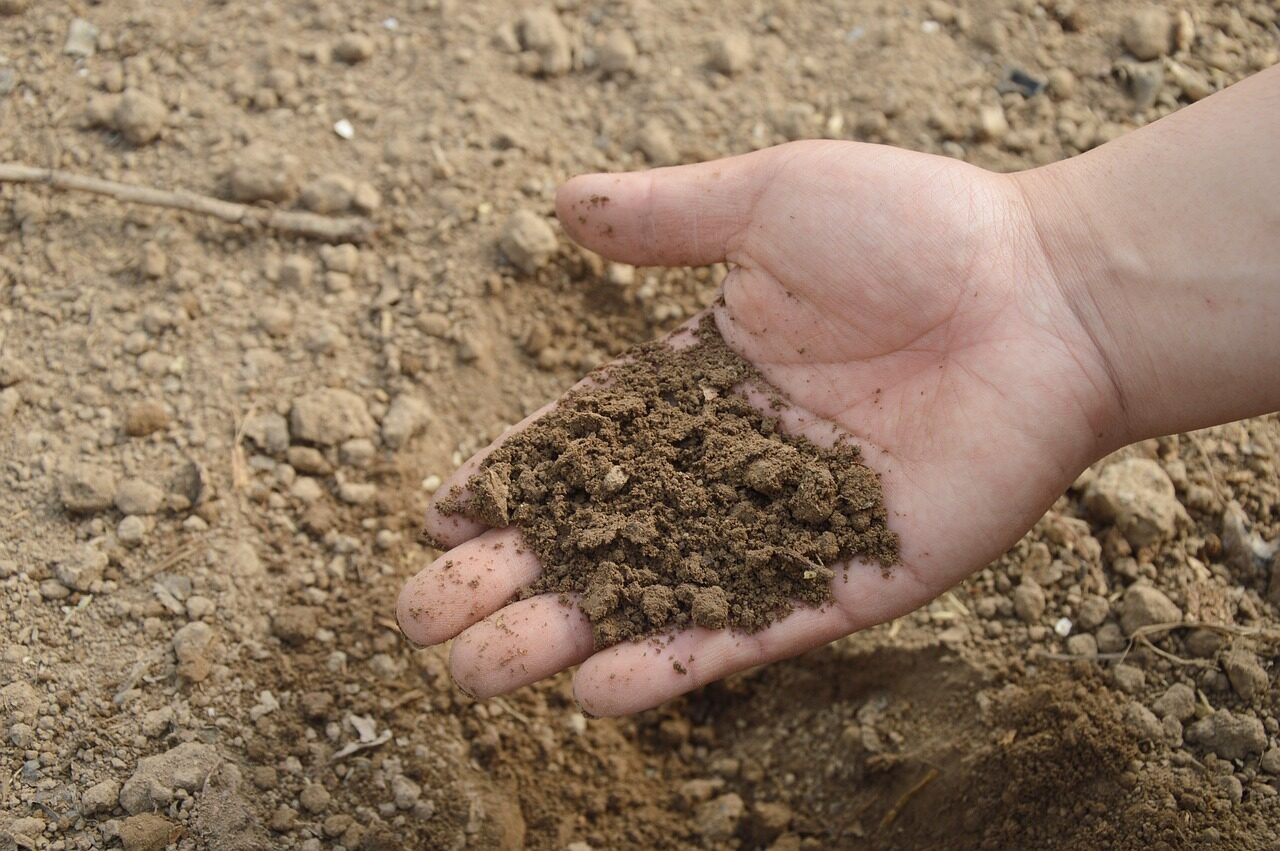 soil, hand, farm, garden, fertilizer, compost, organic, brown garden, nature, brown farm, brown gardening