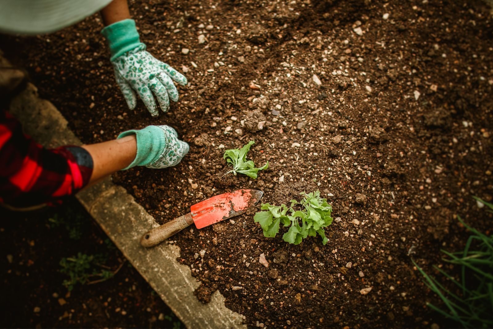 Gloved hands using a trowel to work soil in a garden bed