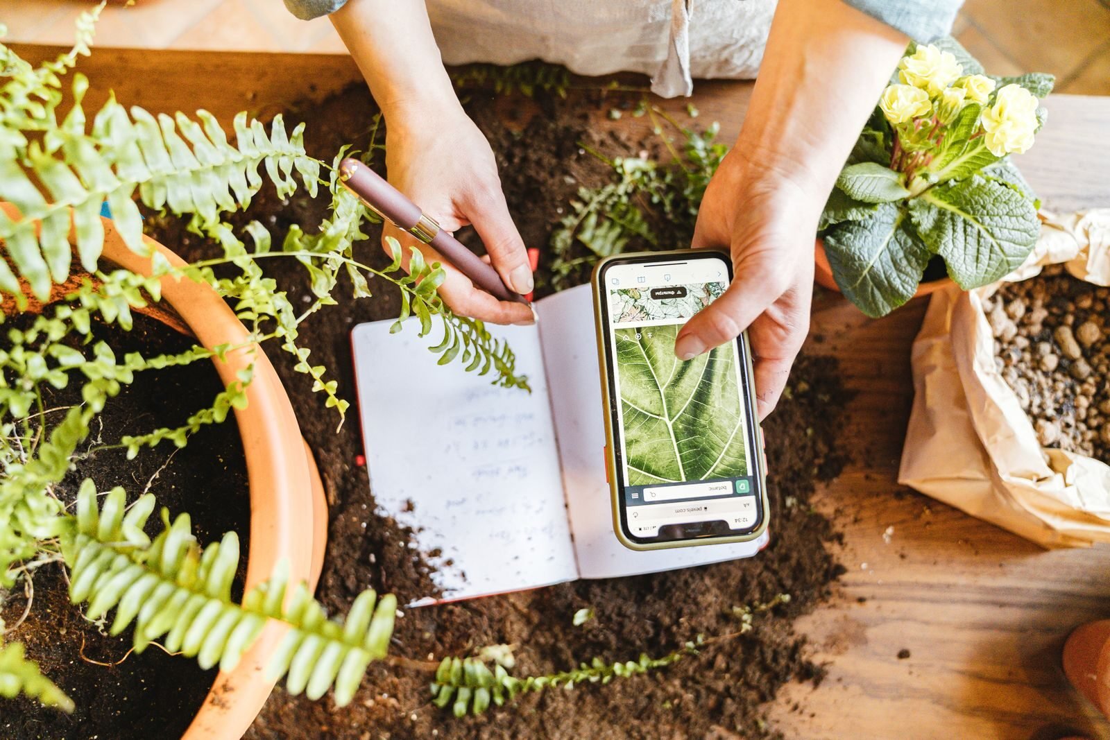 A person writing plant notes beside a phone and houseplants
