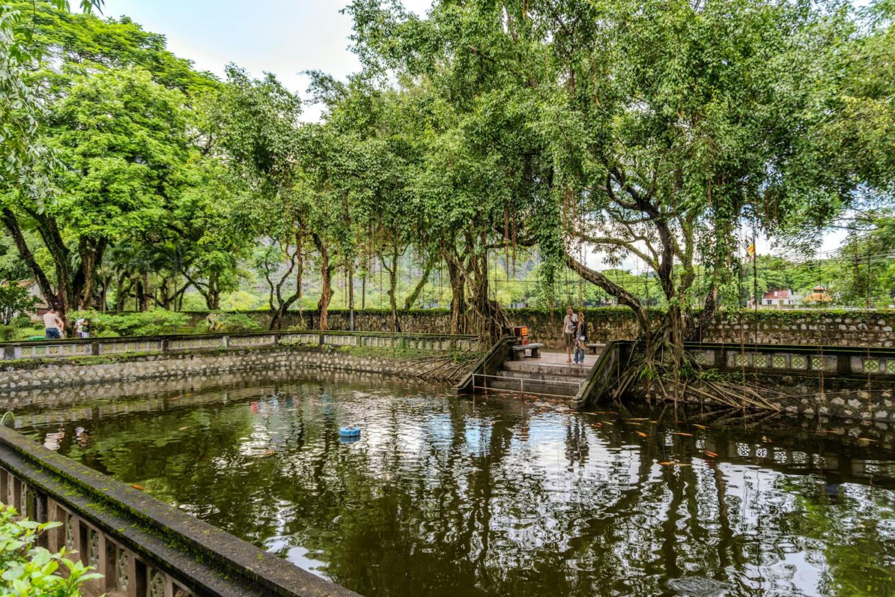 A tranquil outdoor pond surrounded by lush trees and a stone railing, capturing the essence of nature's beauty.