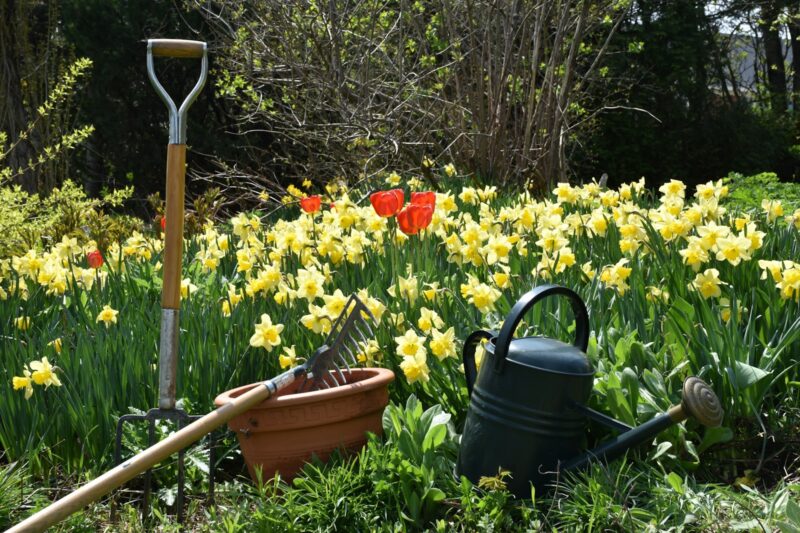 Where to Buy Gardening Tools: Online and Local Options