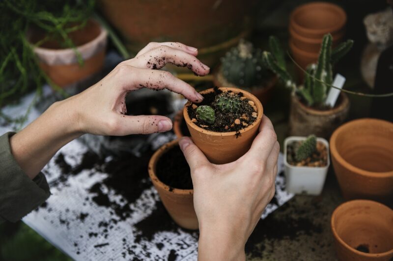 What is the difference between topsoil and garden soil?