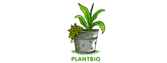 Plant Biology and Gardening Insights