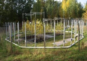 The Ruohoniemi open-air field research site at UEF used by Serge (MSc, UEF) for silver birch environmental studies.