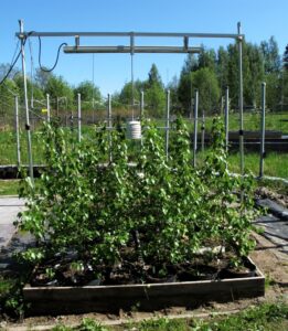 An open-air research plot using infrared heaters to study the impact of climate warming on plant development and ecosystem stress.