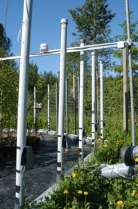 Experimental infrared heaters used by Serge (MSc, UEF) to simulate climate warming in plant physiology experiments.