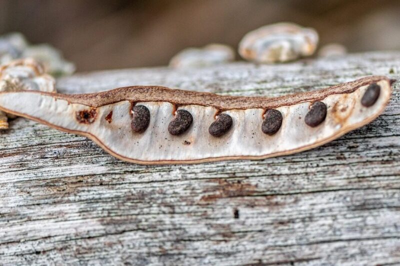 What actually determines whether a plant thrives… or fails before it even begins?