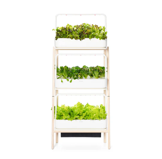 Fro‍m Summer Blis⁠s to Wint⁠er Dreams: Grow Year-Round with the Smart Ga‍rden‌ 27