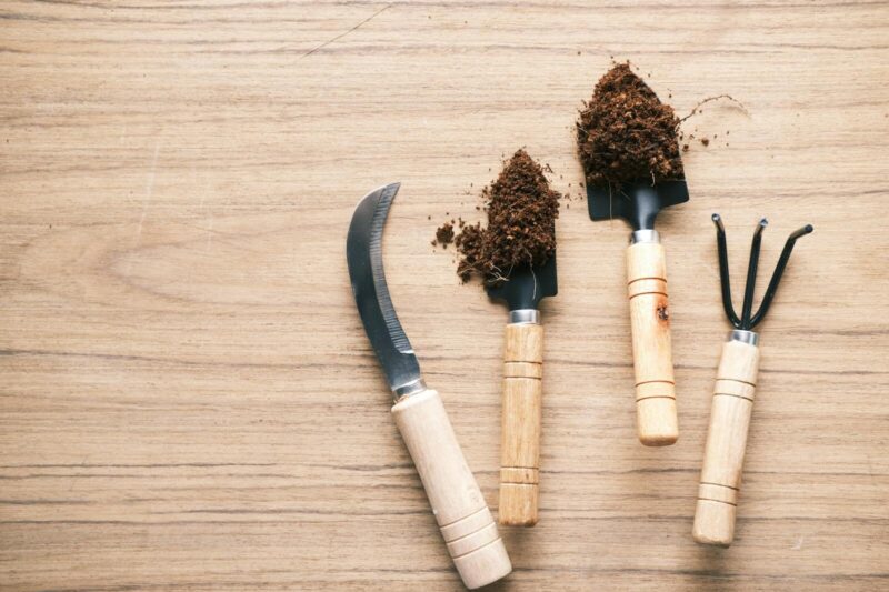 10 Essential Gardening Tools Every Beginner Needs