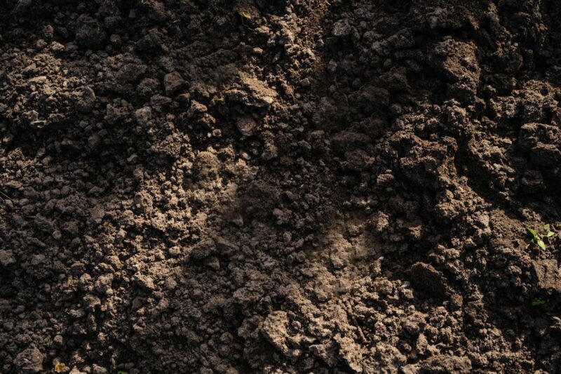 What’s the Cheapest Way to Get Garden Soil?