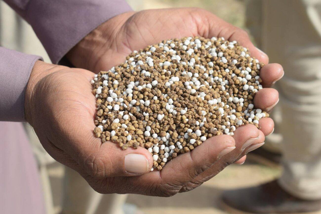 Hands holding granular fertilizer for selecting plant nutrients based on soil and growth stage