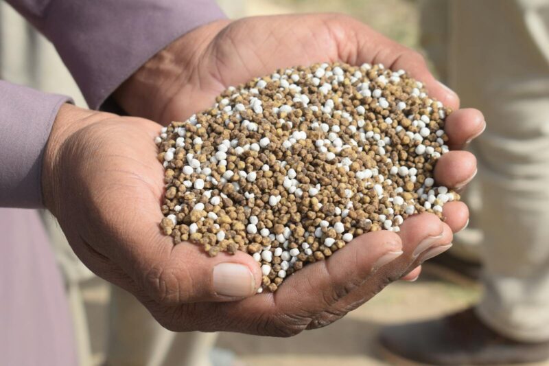 How to Choose the Best Fertilizer for Plants (Based on Soil, pH & Growth Stage)