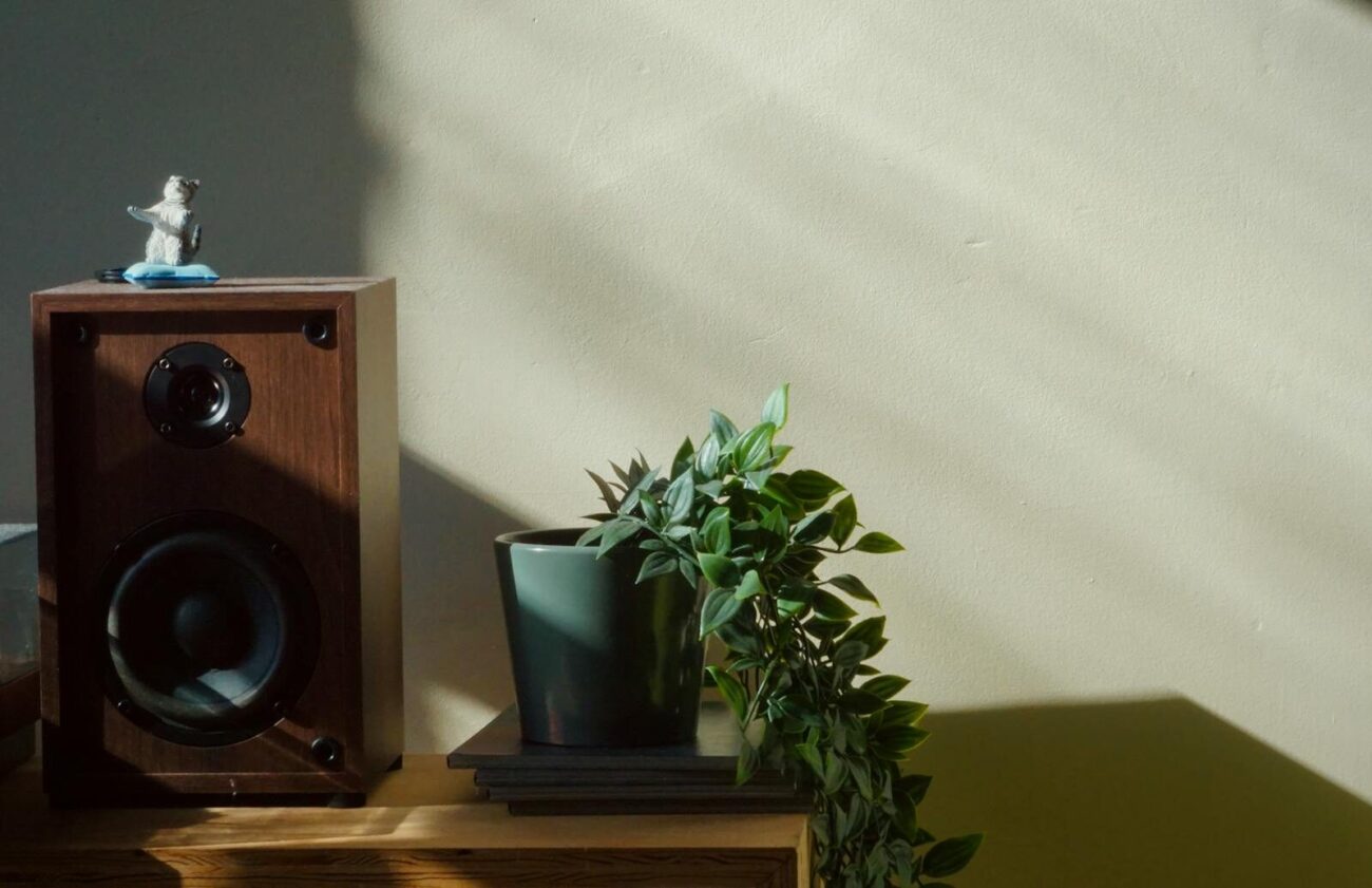Small plant seedlings growing in pots next to a speaker as part of a music and plant growth experiment