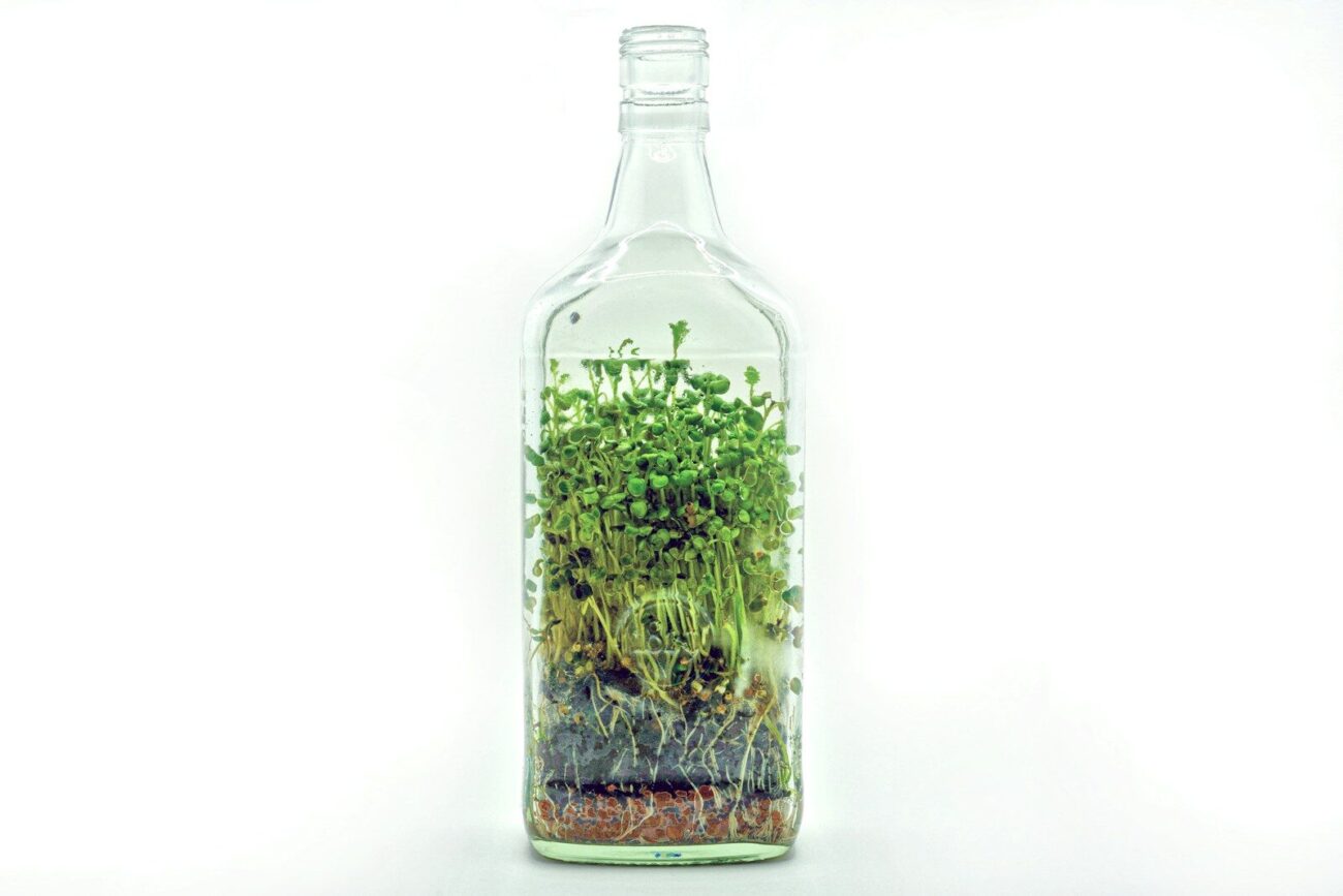 Hydroponic bottle container used in the Kratky method