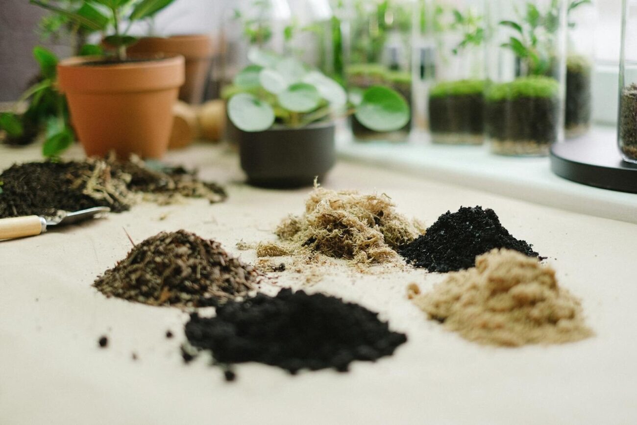 Different soil samples arranged for testing pH and nutrient levels in gardening