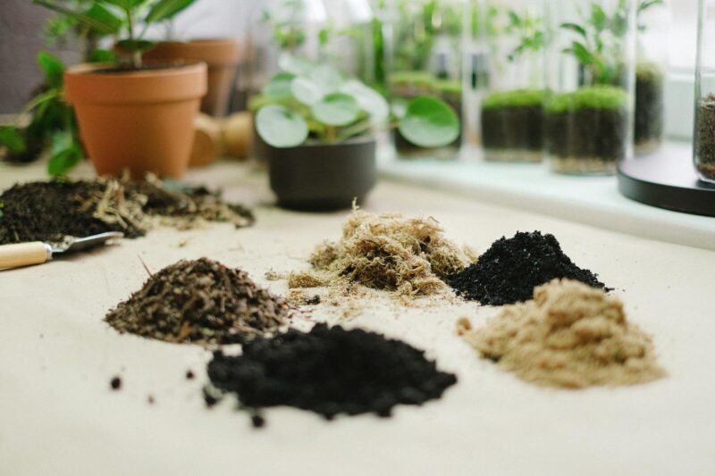 How to Test Soil pH and Nutrients Properly