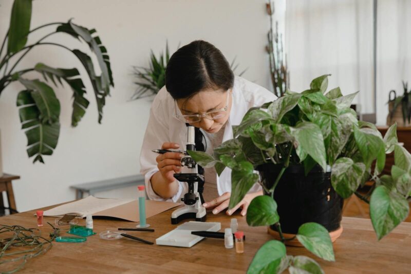 What Is Plant Biology?