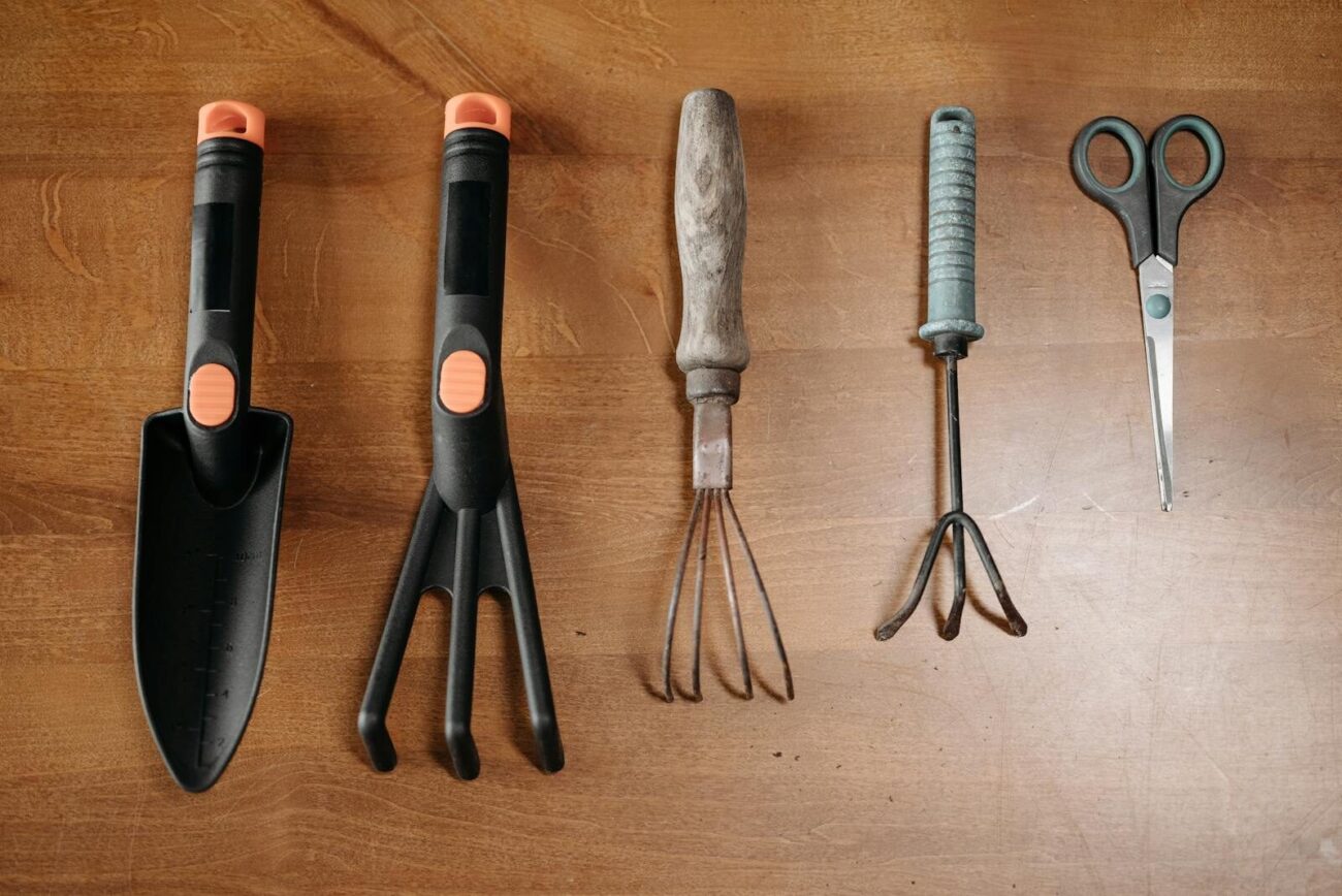Garden tools arranged on a wooden surface for plant care