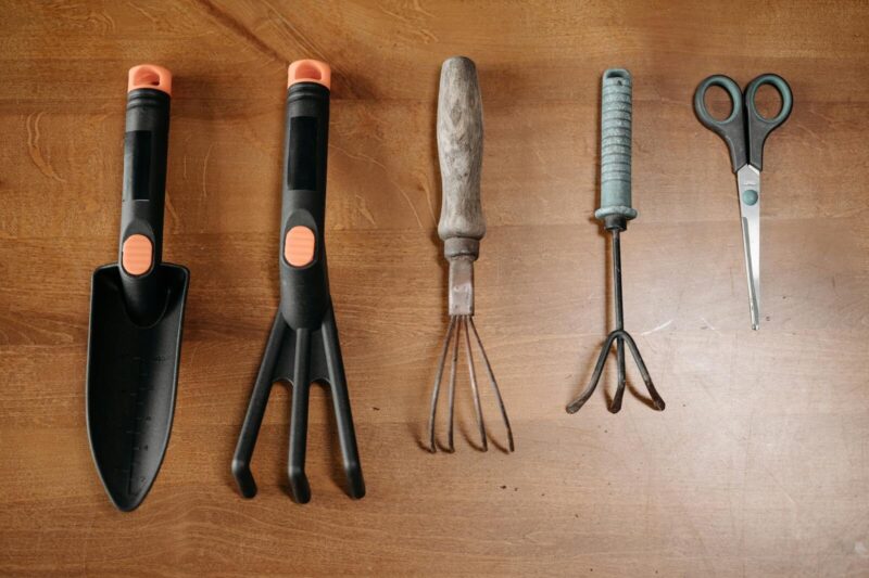 Where to Buy Gardening Tools: Online and Local Options