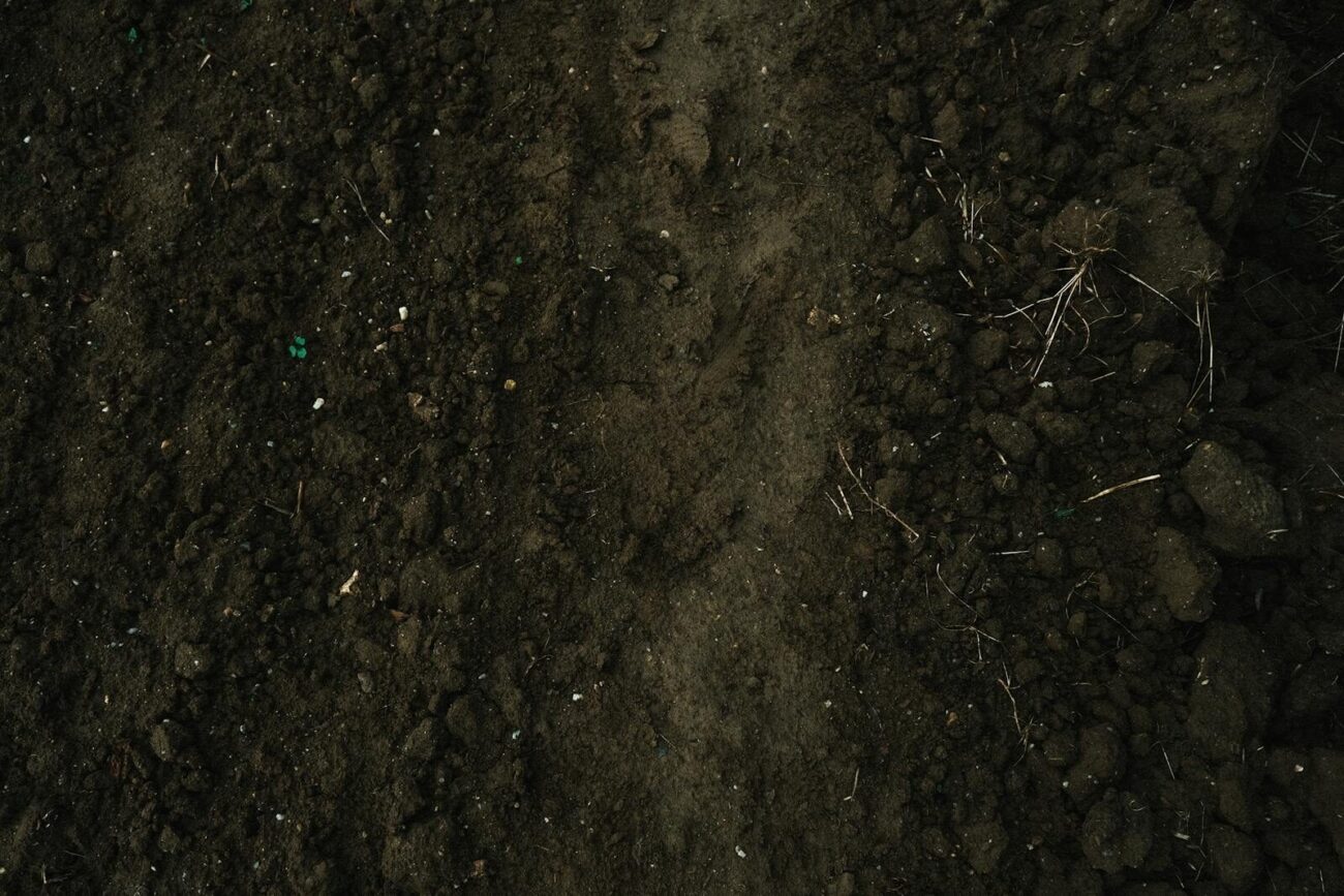 Close up of dark garden soil showing texture and organic matter relevant to soil pH testing and plant nutrition
