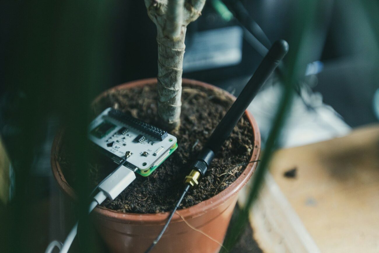 A soil moisture sensor and wireless monitoring board inserted into a terracotta plant pot showing a home soil monitoring setup