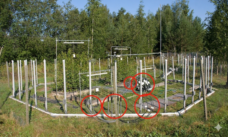 Open air field research site showing data logger boxes and sensor cable connections circled in red used to monitor soil moisture and environmental conditions continuously during Silver Birch climate warming and ozone experiments