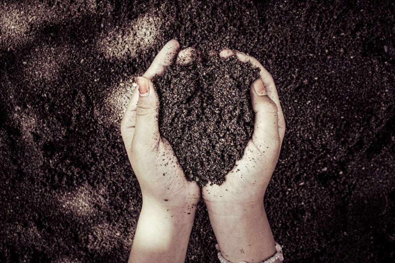 Two hands holding rich dark garden soil showing the organic matter and texture of healthy undisturbed soil