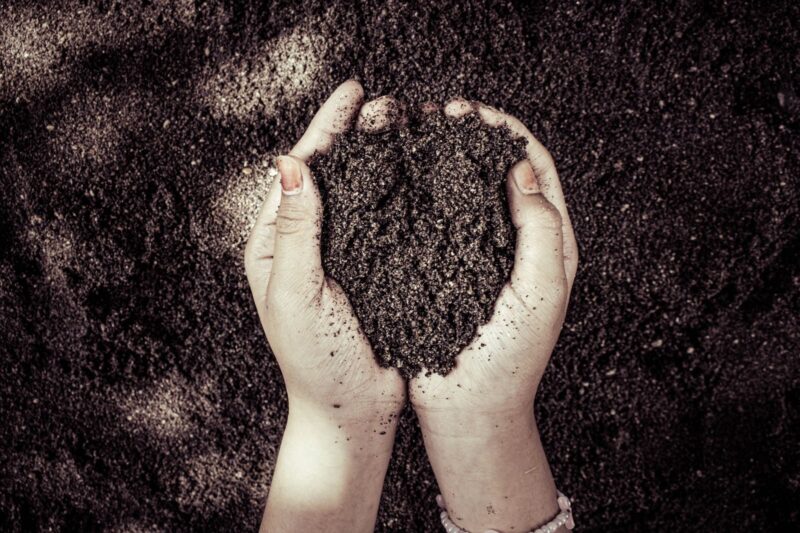 No-Till Gardening: Why I Stopped Digging and What the Soil Science Shows