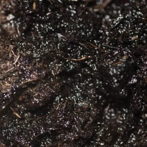 Extreme close up of dark moist healthy soil showing organic matter fibres root threads and biological complexity of undisturbed garden soil