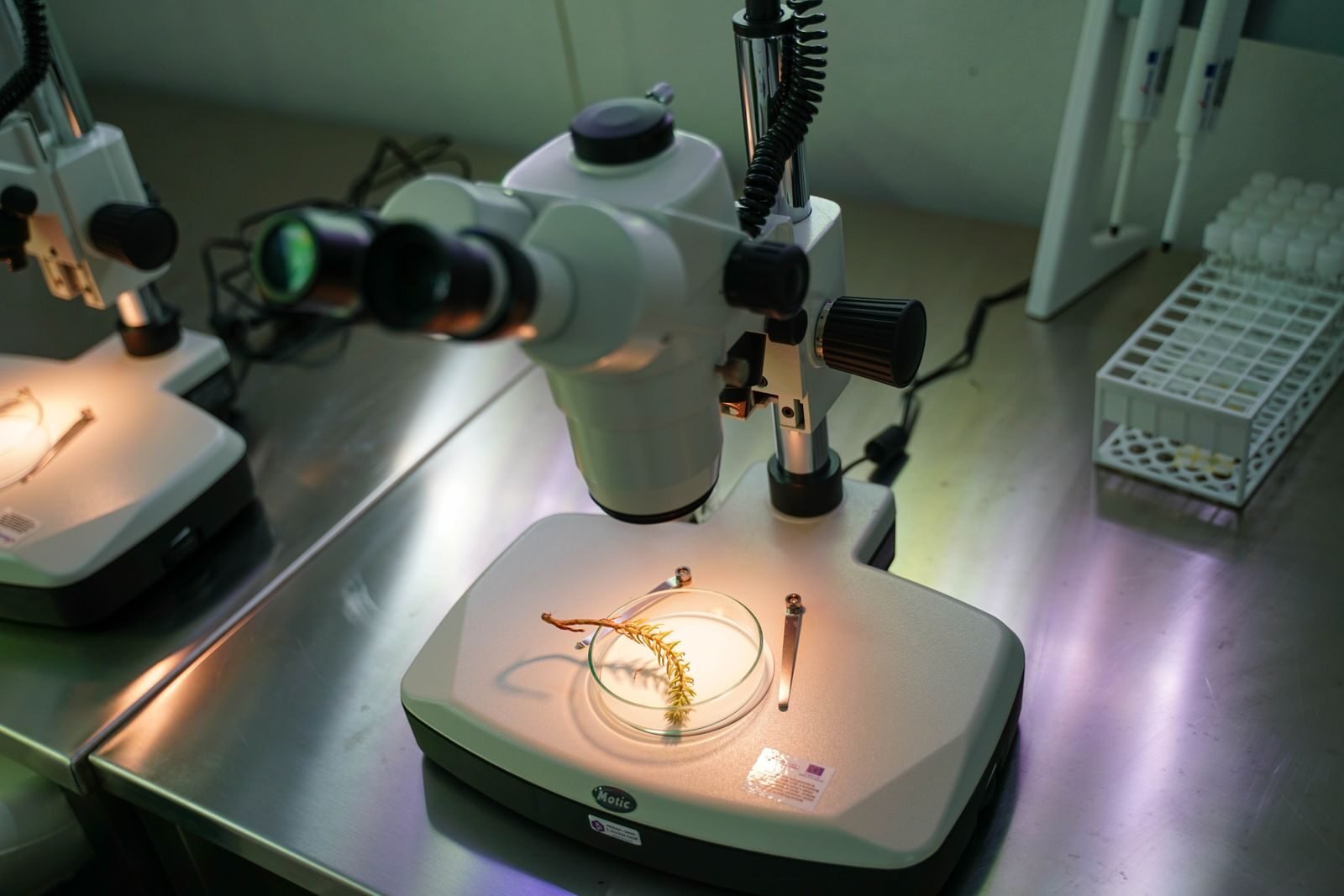 Microbiology and laboratory methods