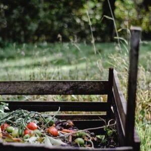Wooden compost bin in an Estonian garden with organic waste and vegetables.