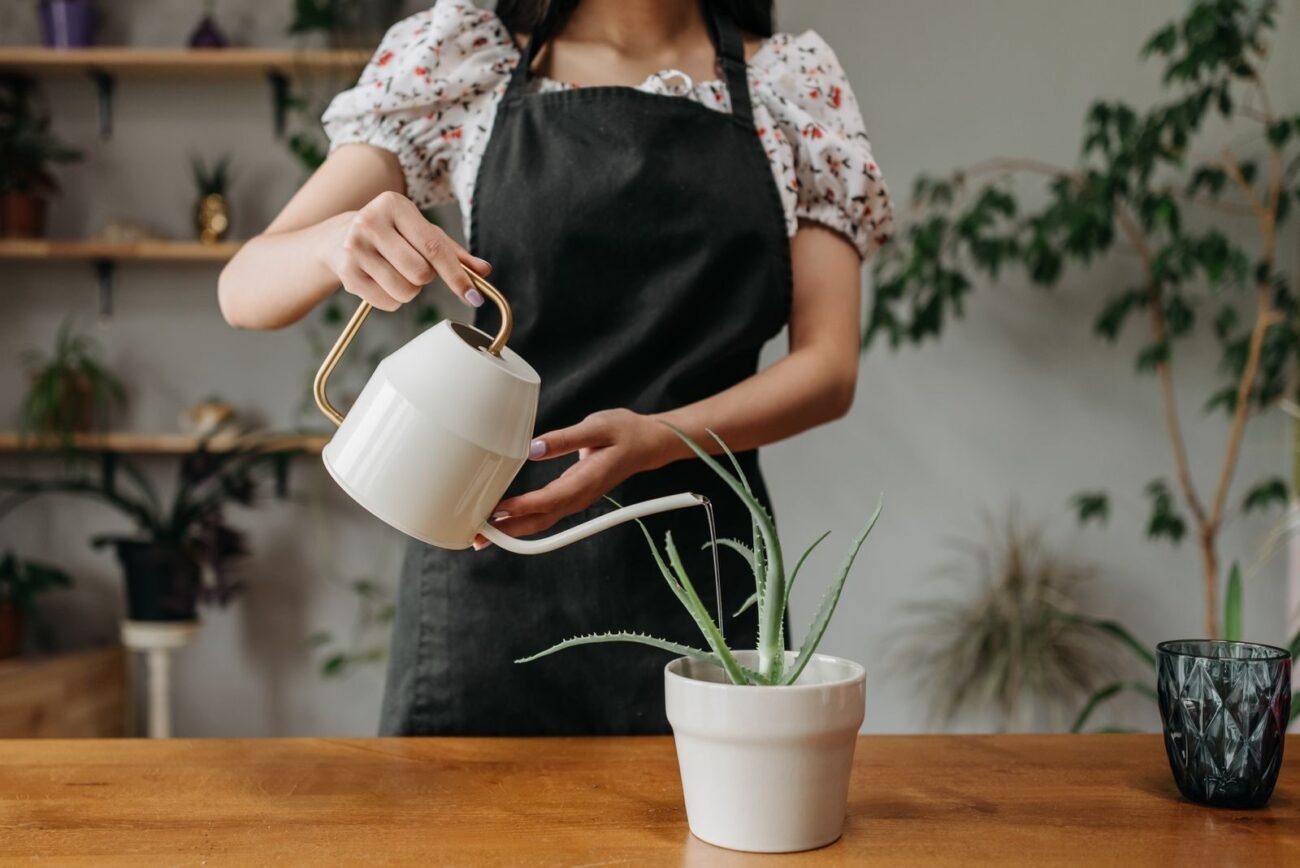 A person watering a potted houseplant indoors with a watering can