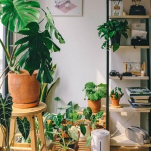 A bright home corner filled with healthy potted houseplants