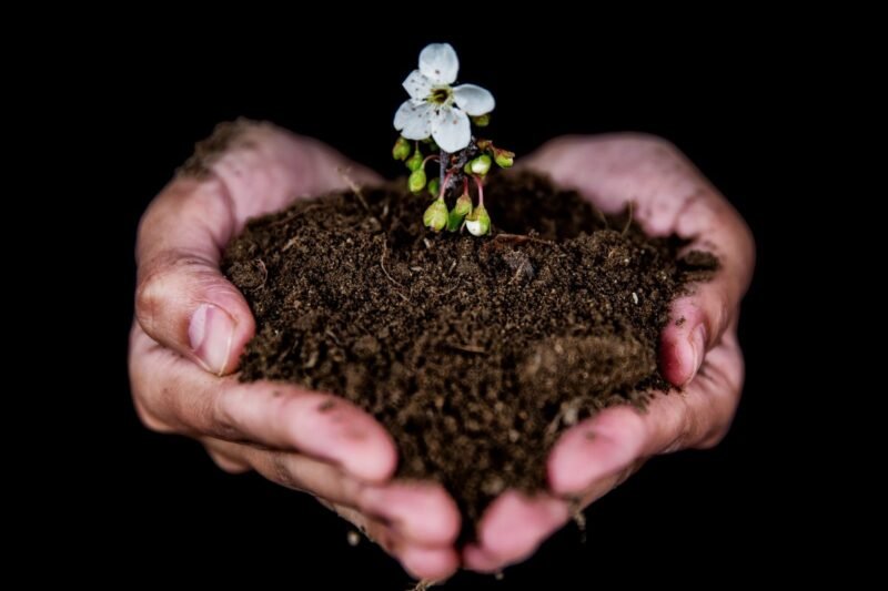 What is the difference between topsoil and garden soil?