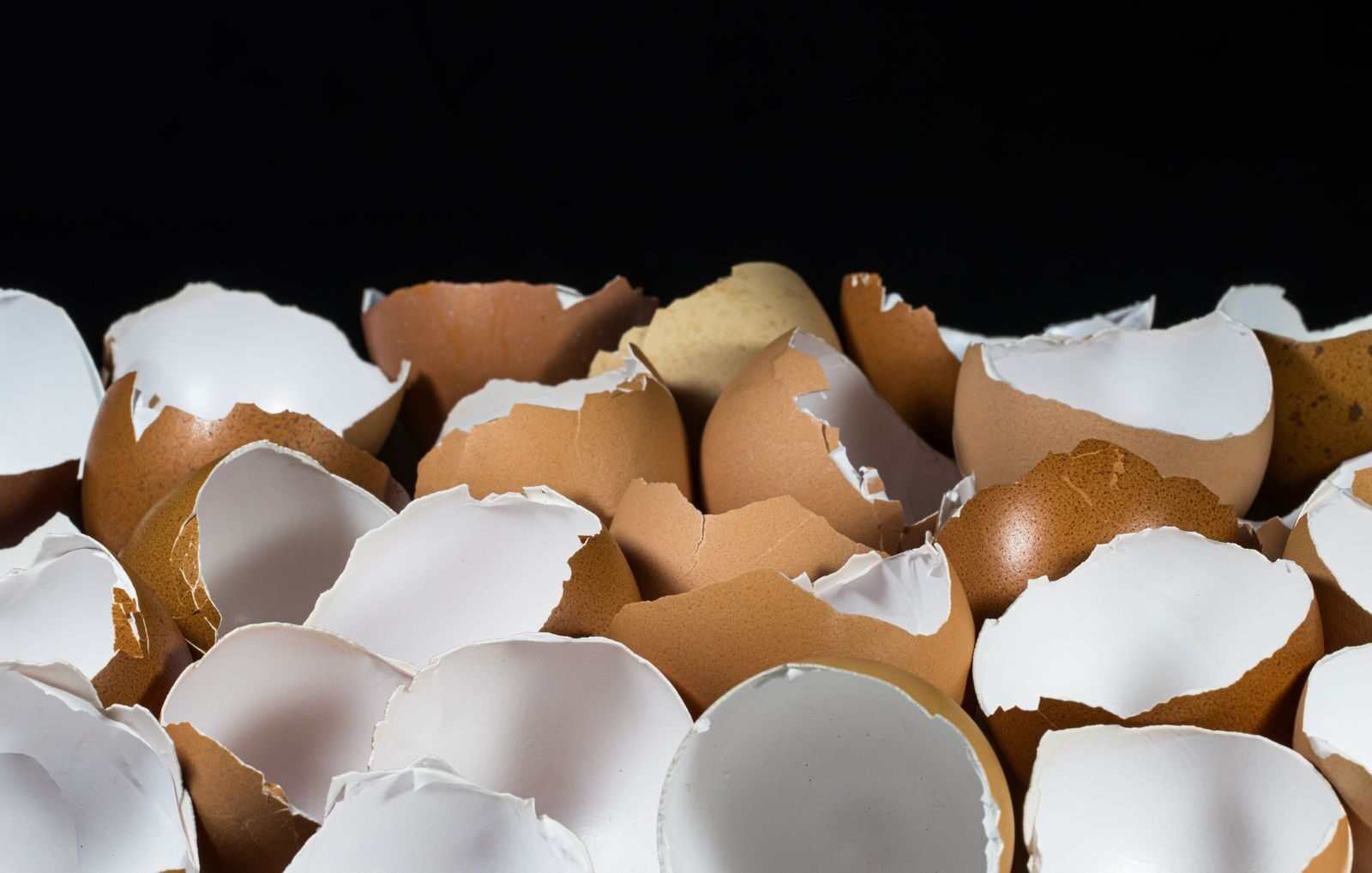 Broken eggshell halves piled together against a dark background