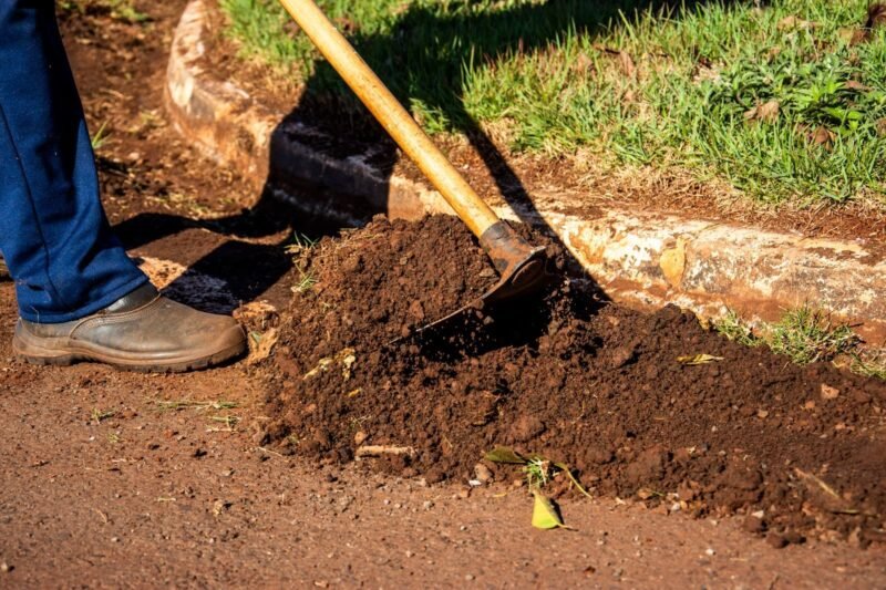 What’s the Cheapest Way to Get Garden Soil?
