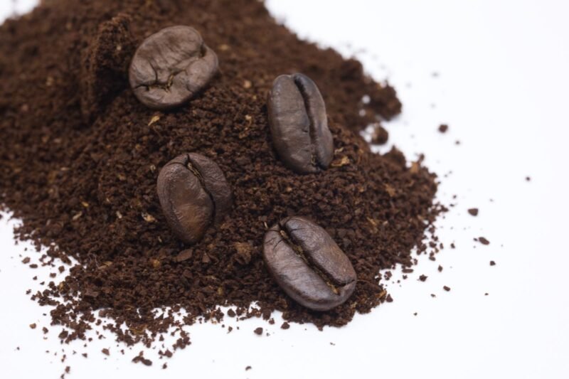 Coffee Grounds, Eggshells and Rice Water: What Helps Houseplants and What Doesn’t.