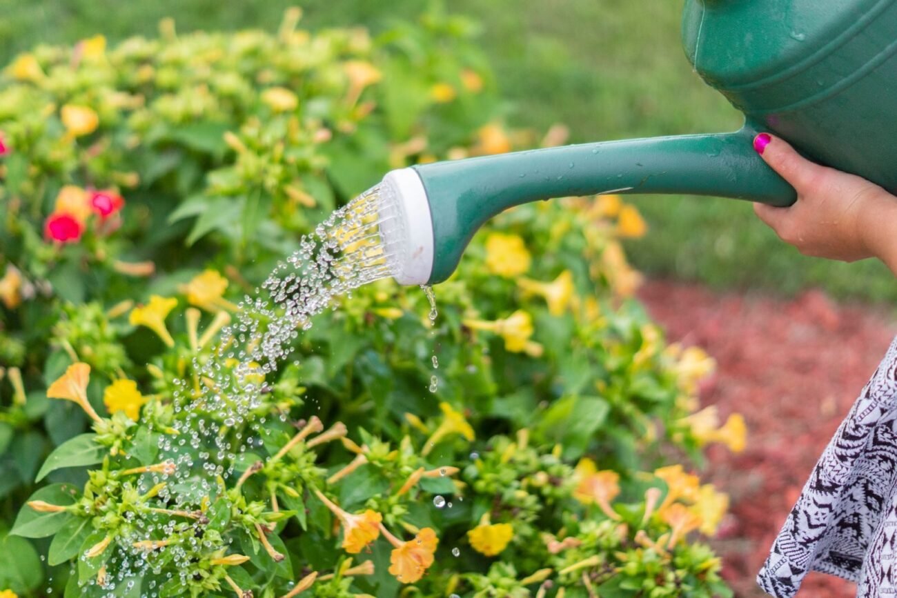 A watering can watering flowers, showing plants receiving the water they need to grow