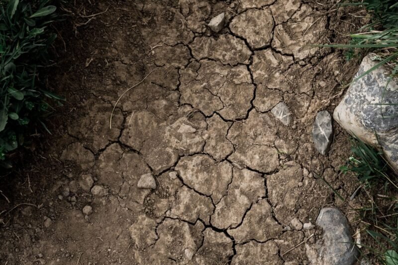 What Are the Main Factors That Cause Imbalance in Ecosystems?
