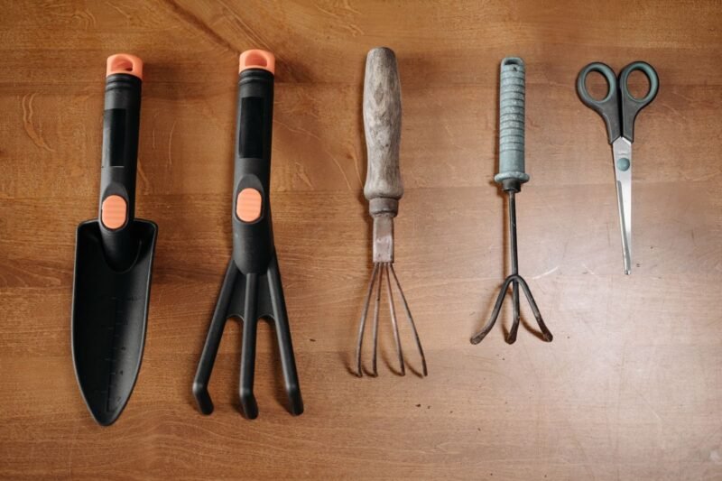 10 Essential Gardening Tools Every Beginner Needs