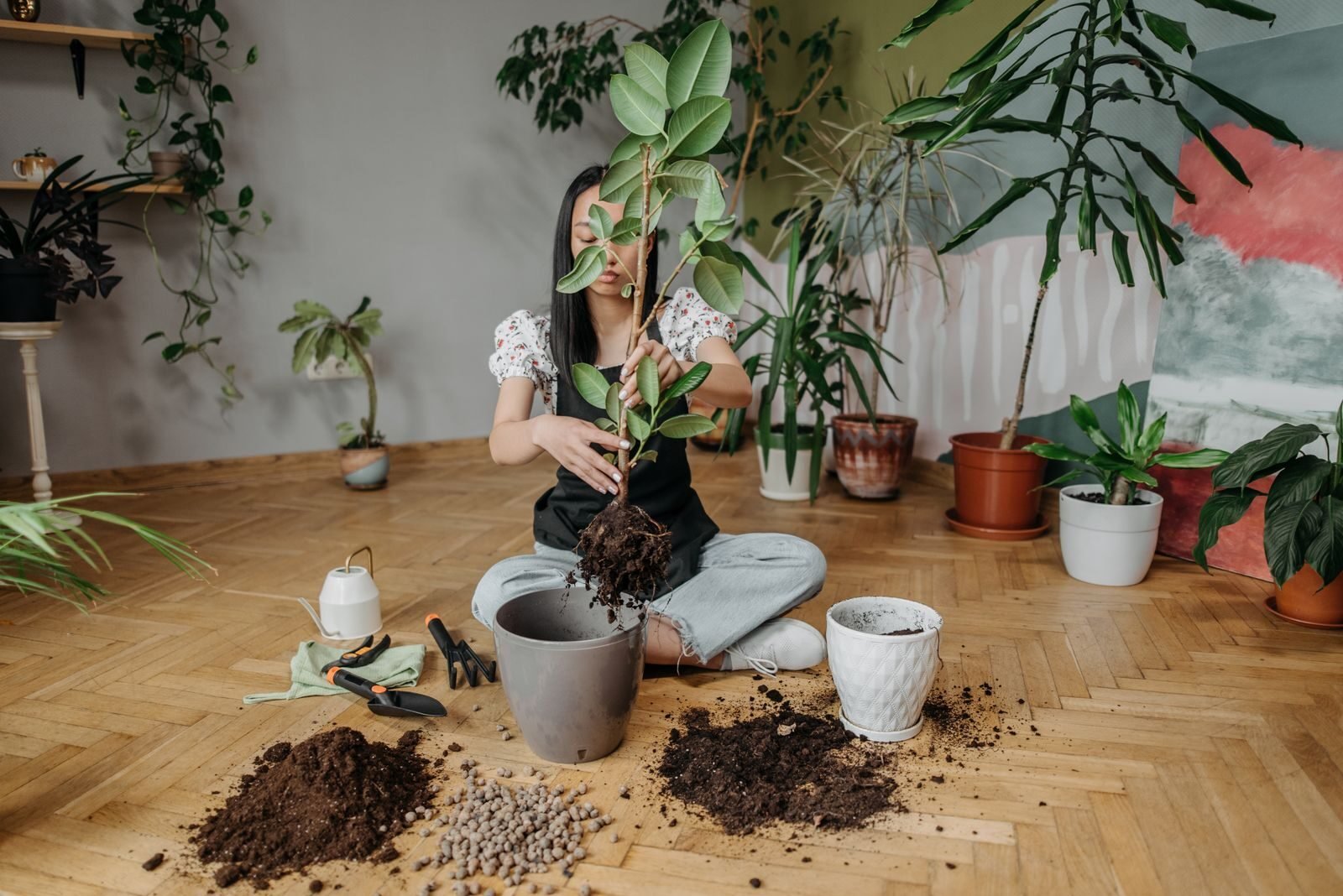 A person repotting a houseplant into a new pot with soil and empty pots around them