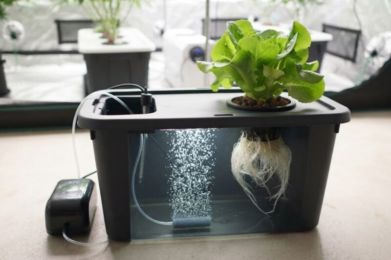 Hydroponic Air Pumps and Air Stones: Why Your Roots Need to Breathe.